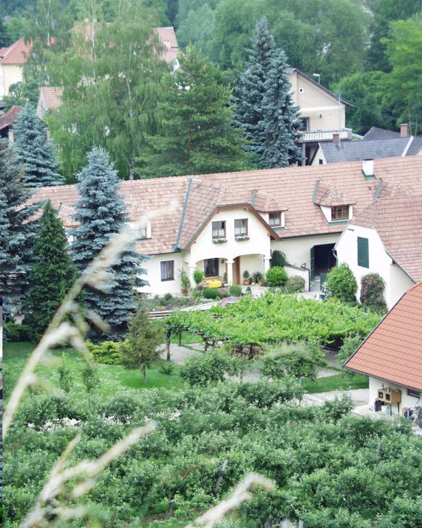 Bed and Breakfast Weinberghof Ilkerl-Luf Krems an der Donau Zewnętrze zdjęcie